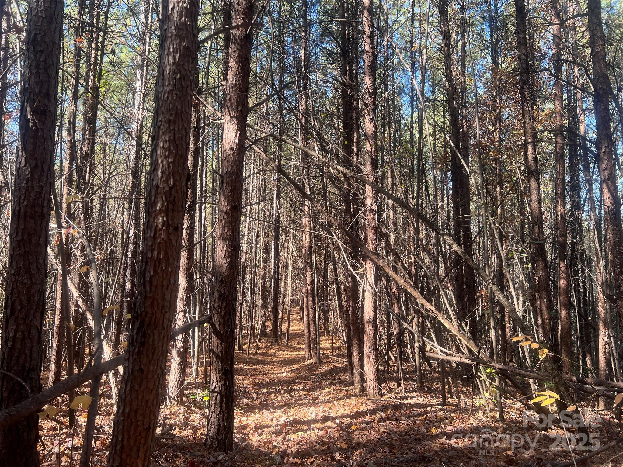 0 North Fork Road Bostic, NC 28018 - Photo 10 of 12 Gallery Image 10