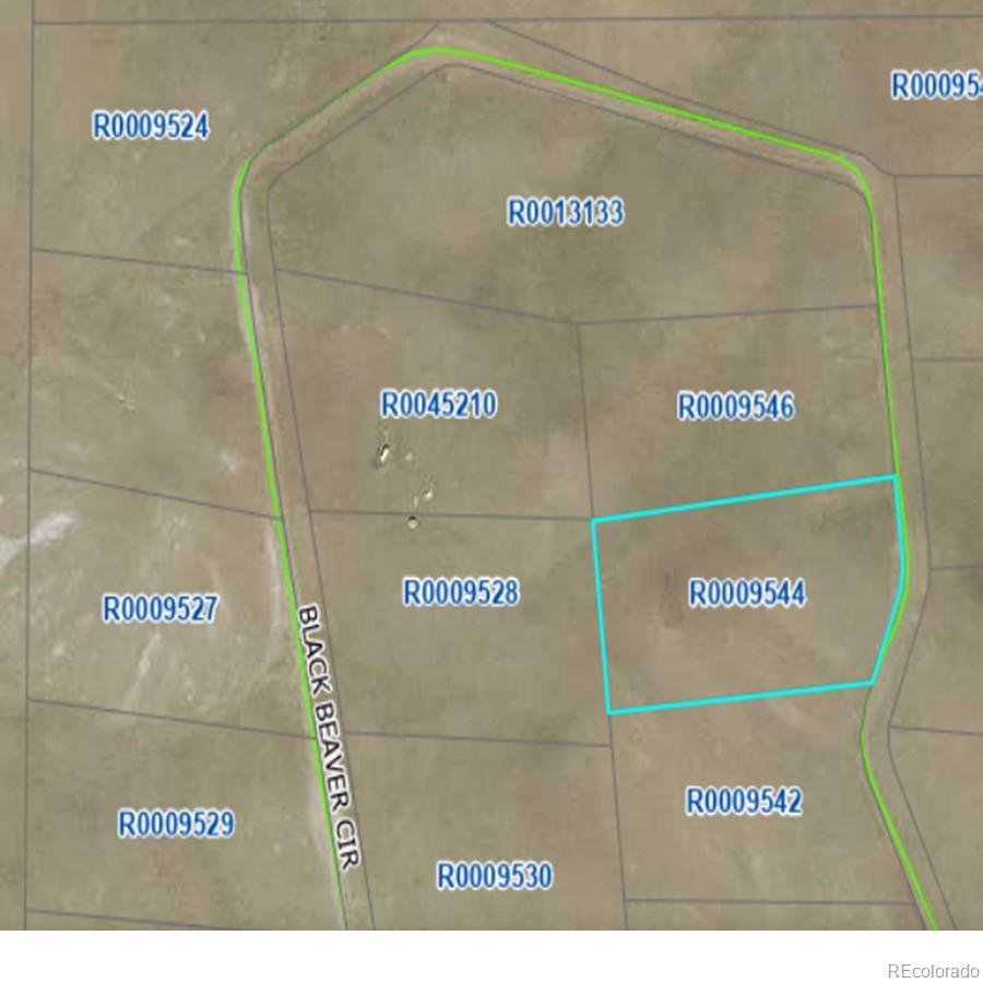 758 Black Beaver Road Hartsel, CO 80449 - Photo 1 of 24 Gallery Image 1
