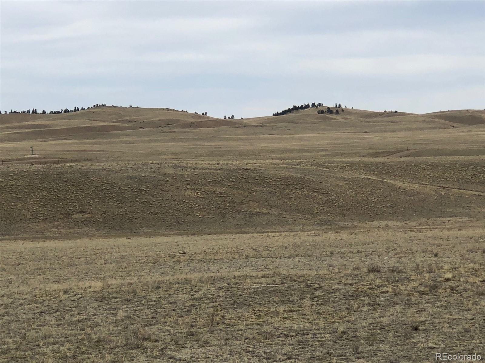 758 Black Beaver Road Hartsel, CO 80449 - Photo 3 of 24 Gallery Image 3