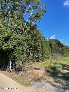 Tbd Lot 5 Tbd Road Opelousas, LA 70570 - Photo 1 of 1 Lots