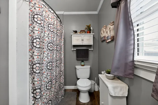 a view of a pathway of a park