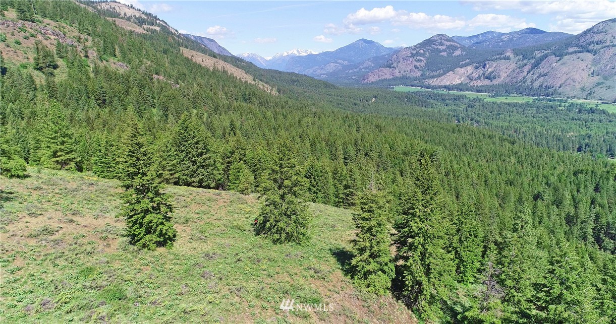 35 Fs 5005 Road Winthrop, WA 98862 - Photo 1 of 38 Gallery Image 1