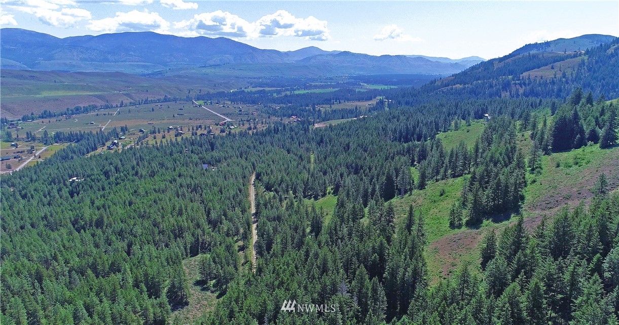 35 Fs 5005 Road Winthrop, WA 98862 - Photo 2 of 38 Gallery Image 2