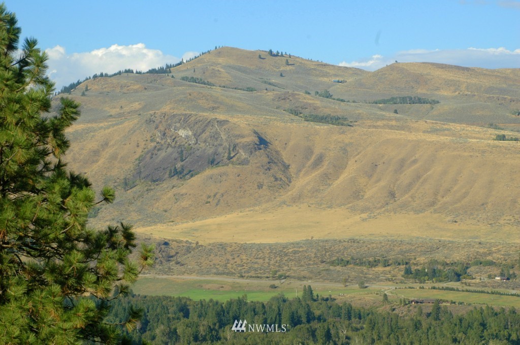 35 Fs 5005 Road Winthrop, WA 98862 - Photo 11 of 38 Gallery Image 11