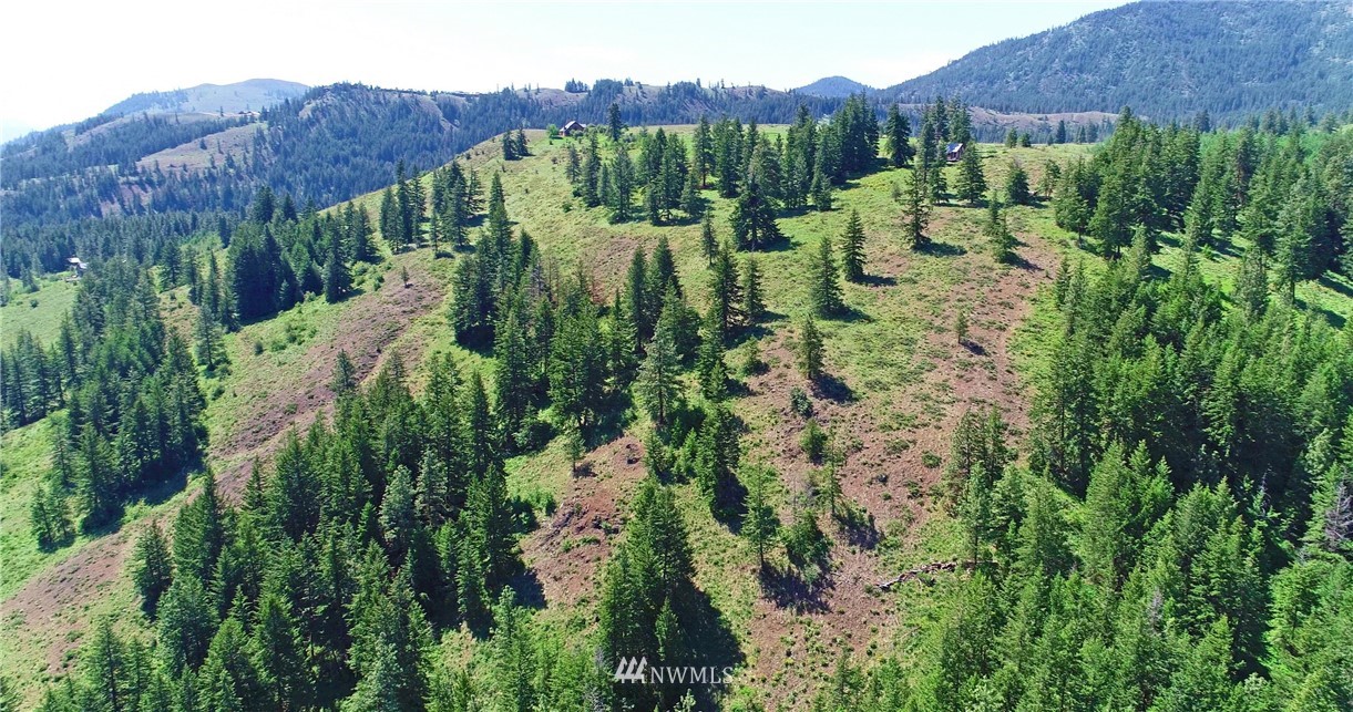 35 Fs 5005 Road Winthrop, WA 98862 - Photo 12 of 38 Gallery Image 12