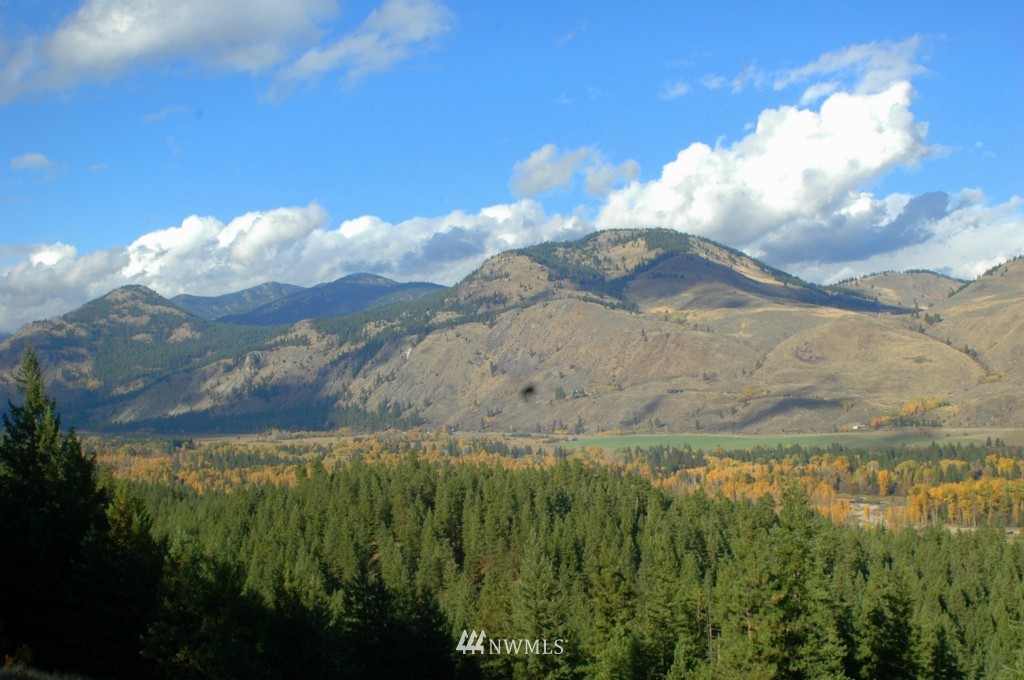 35 Fs 5005 Road Winthrop, WA 98862 - Photo 14 of 38 Gallery Image 14