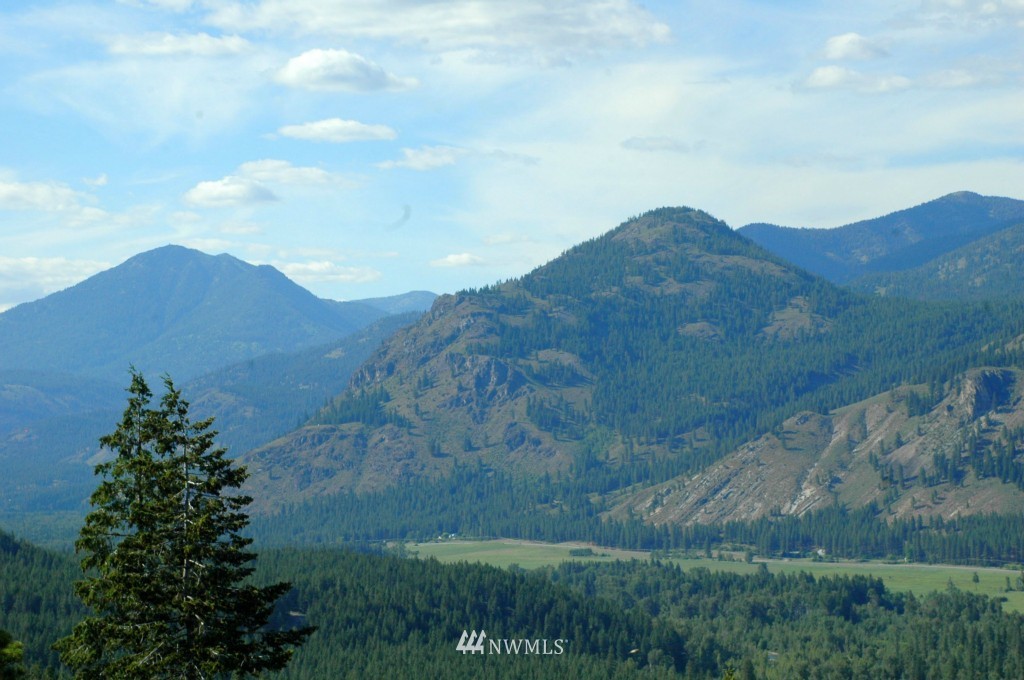 35 Fs 5005 Road Winthrop, WA 98862 - Photo 15 of 38 Gallery Image 15