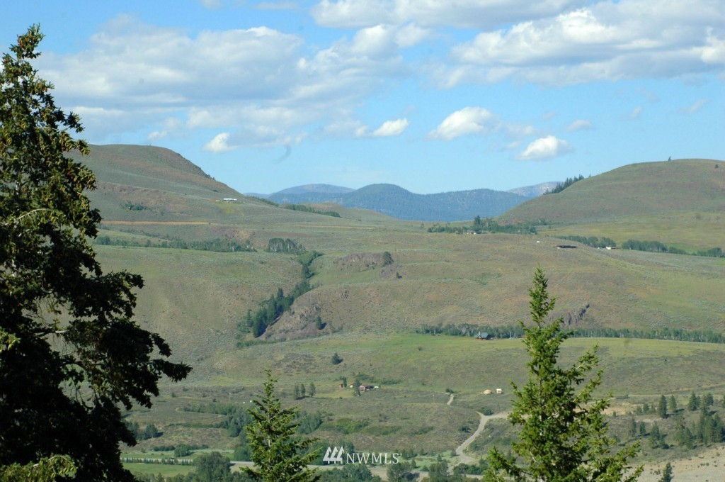 35 Fs 5005 Road Winthrop, WA 98862 - Photo 16 of 38 Gallery Image 16