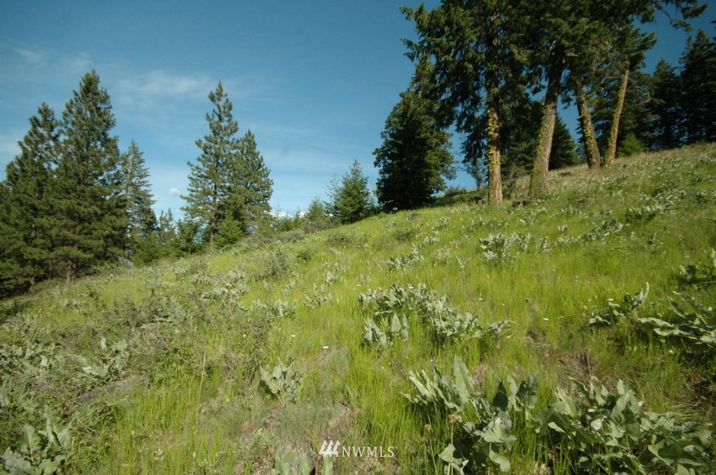 35 Fs 5005 Road Winthrop, WA 98862 - Photo 17 of 38 Gallery Image 17