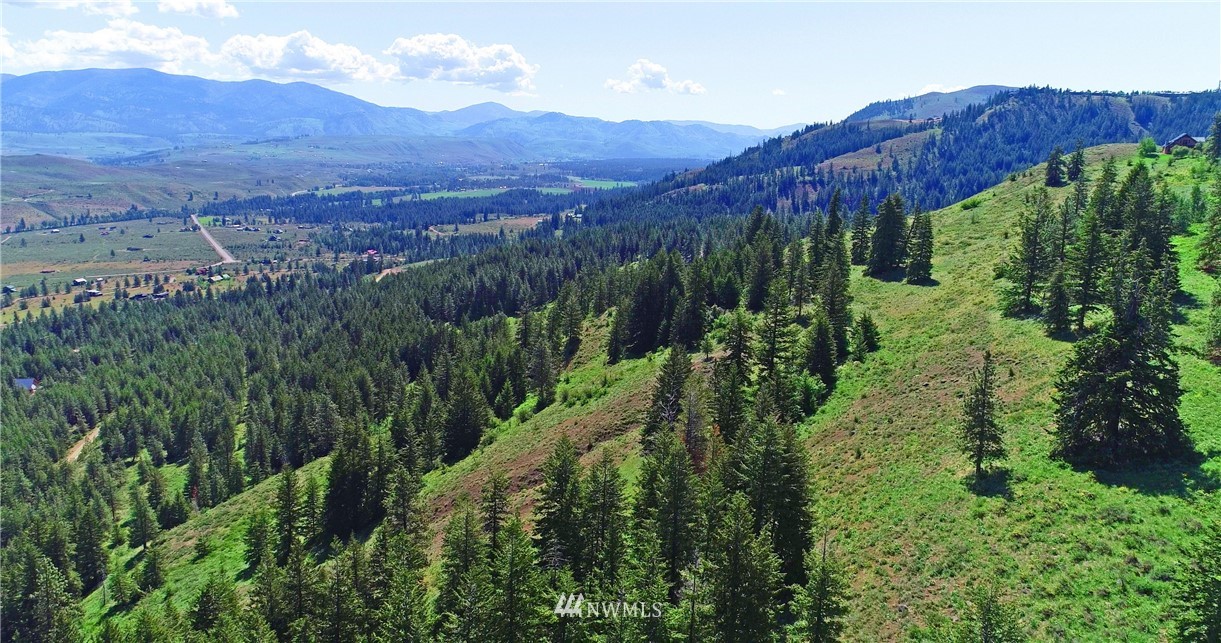 35 Fs 5005 Road Winthrop, WA 98862 - Photo 19 of 38 Gallery Image 19