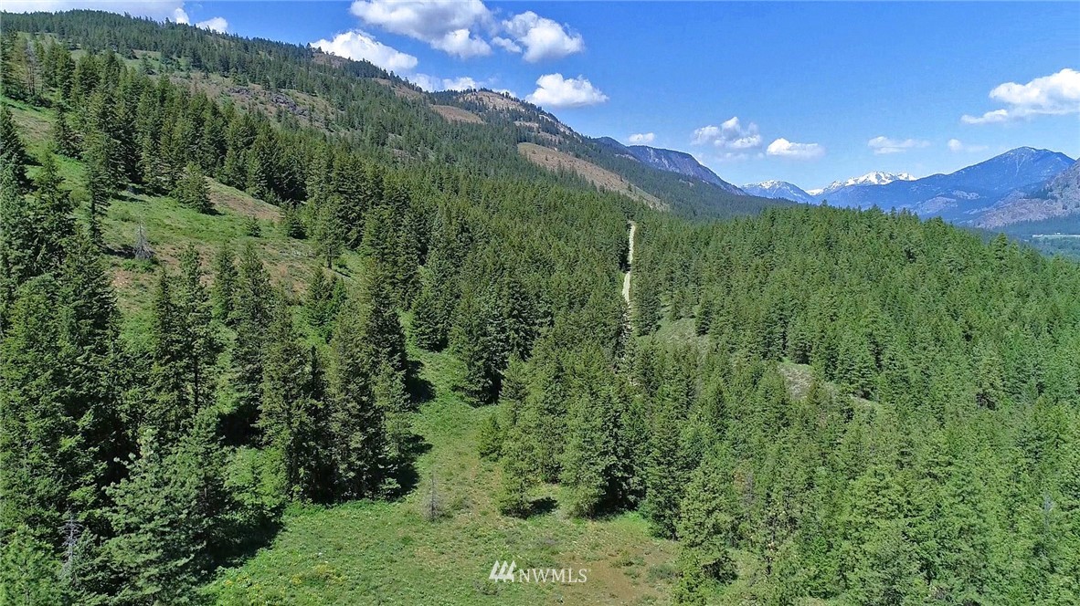 35 Fs 5005 Road Winthrop, WA 98862 - Photo 20 of 38 Gallery Image 20