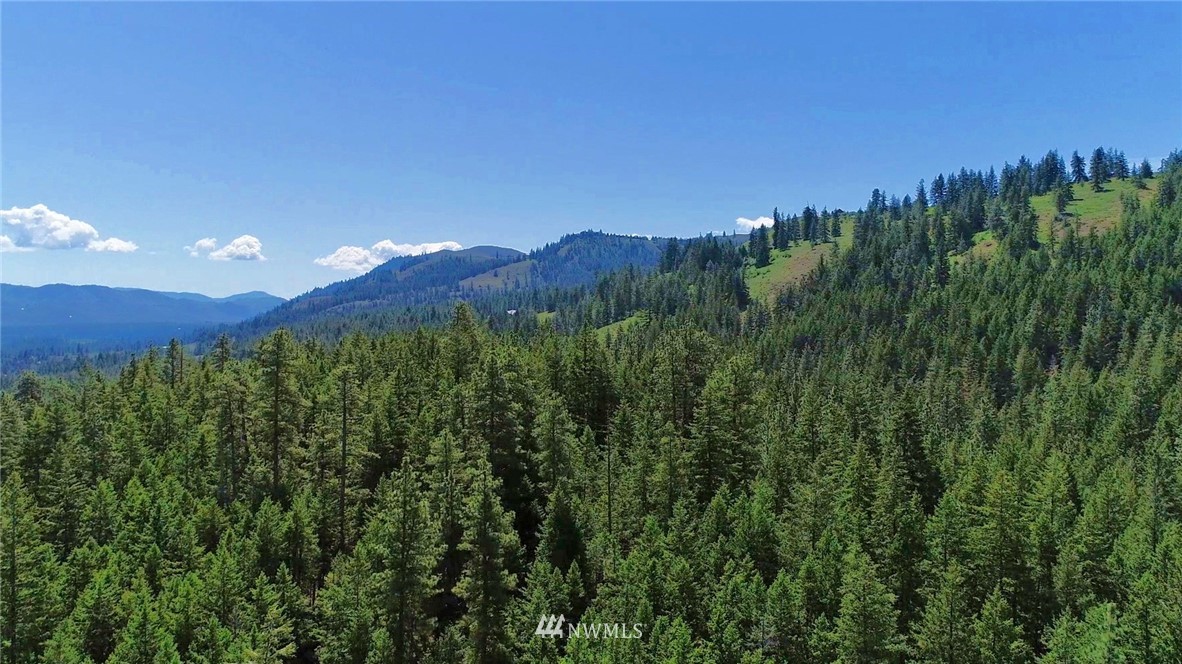 35 Fs 5005 Road Winthrop, WA 98862 - Photo 3 of 38 Gallery Image 3