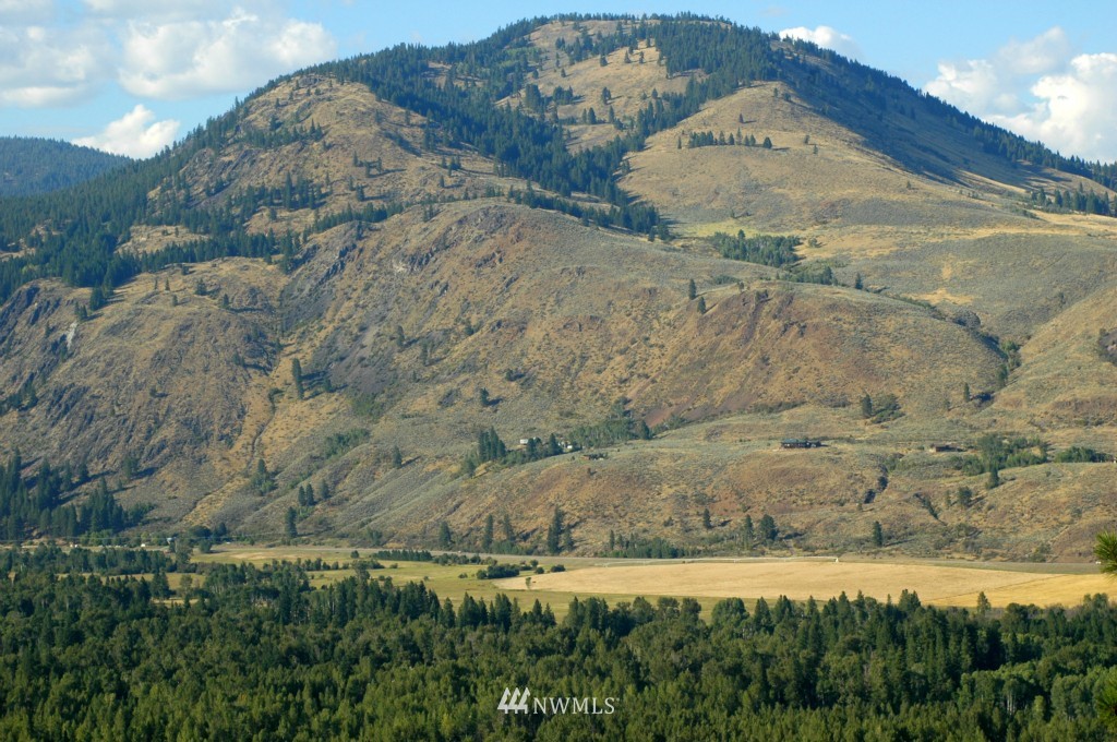 35 Fs 5005 Road Winthrop, WA 98862 - Photo 21 of 38 Gallery Image 21