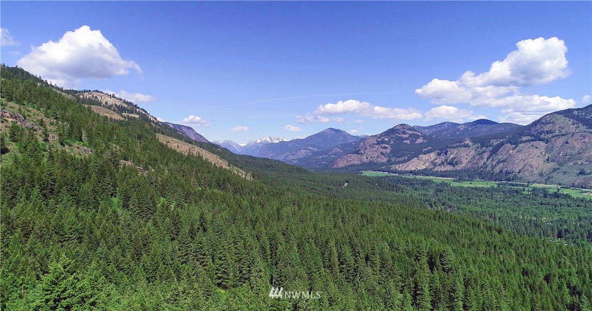 35 Fs 5005 Road Winthrop, WA 98862 - Photo 22 of 38 Gallery Image 22