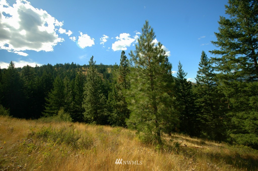 35 Fs 5005 Road Winthrop, WA 98862 - Photo 23 of 38 Gallery Image 23