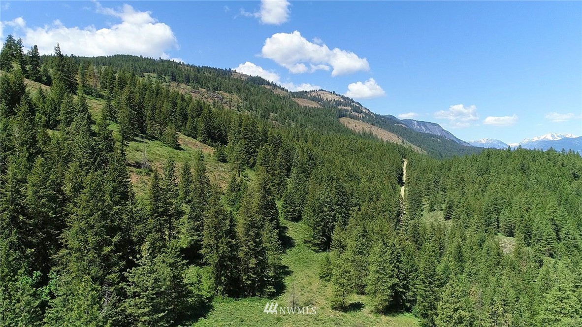 35 Fs 5005 Road Winthrop, WA 98862 - Photo 24 of 38 Gallery Image 24