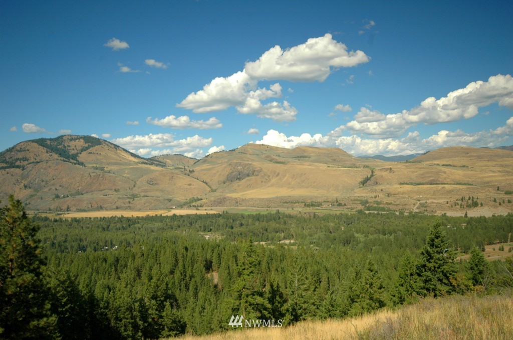 35 Fs 5005 Road Winthrop, WA 98862 - Photo 25 of 38 Gallery Image 25