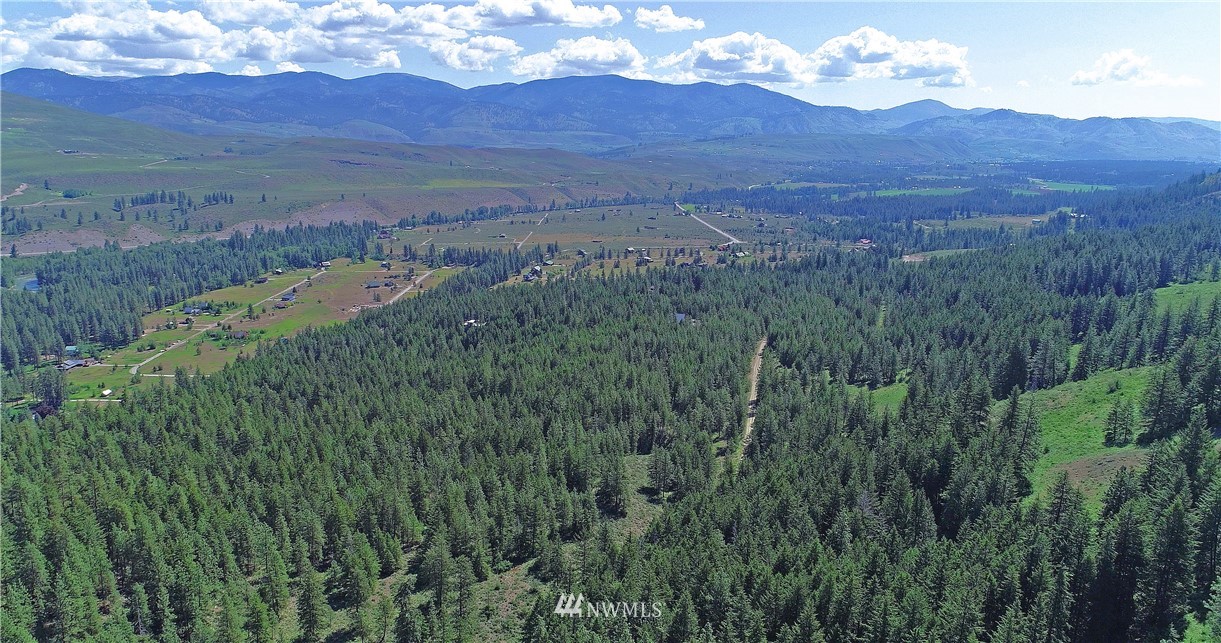 35 Fs 5005 Road Winthrop, WA 98862 - Photo 26 of 38 Gallery Image 26