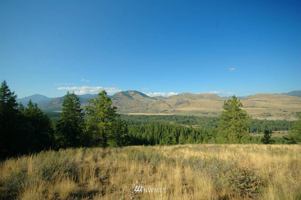 35 Fs 5005 Road Winthrop, WA 98862 - Photo 27 of 38 Gallery Image 27