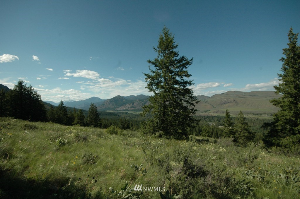 35 Fs 5005 Road Winthrop, WA 98862 - Photo 28 of 38 Gallery Image 28