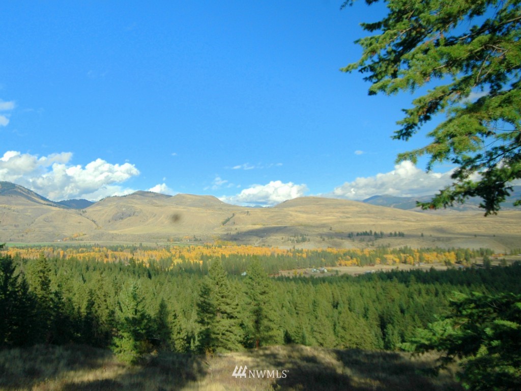 35 Fs 5005 Road Winthrop, WA 98862 - Photo 29 of 38 Gallery Image 29