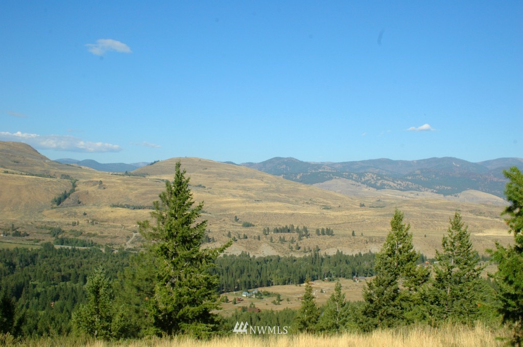 35 Fs 5005 Road Winthrop, WA 98862 - Photo 30 of 38 Gallery Image 30