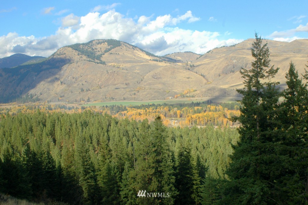 35 Fs 5005 Road Winthrop, WA 98862 - Photo 4 of 38 Gallery Image 4