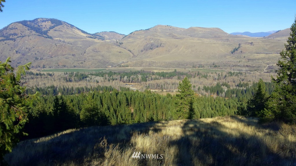 35 Fs 5005 Road Winthrop, WA 98862 - Photo 31 of 38 Gallery Image 31