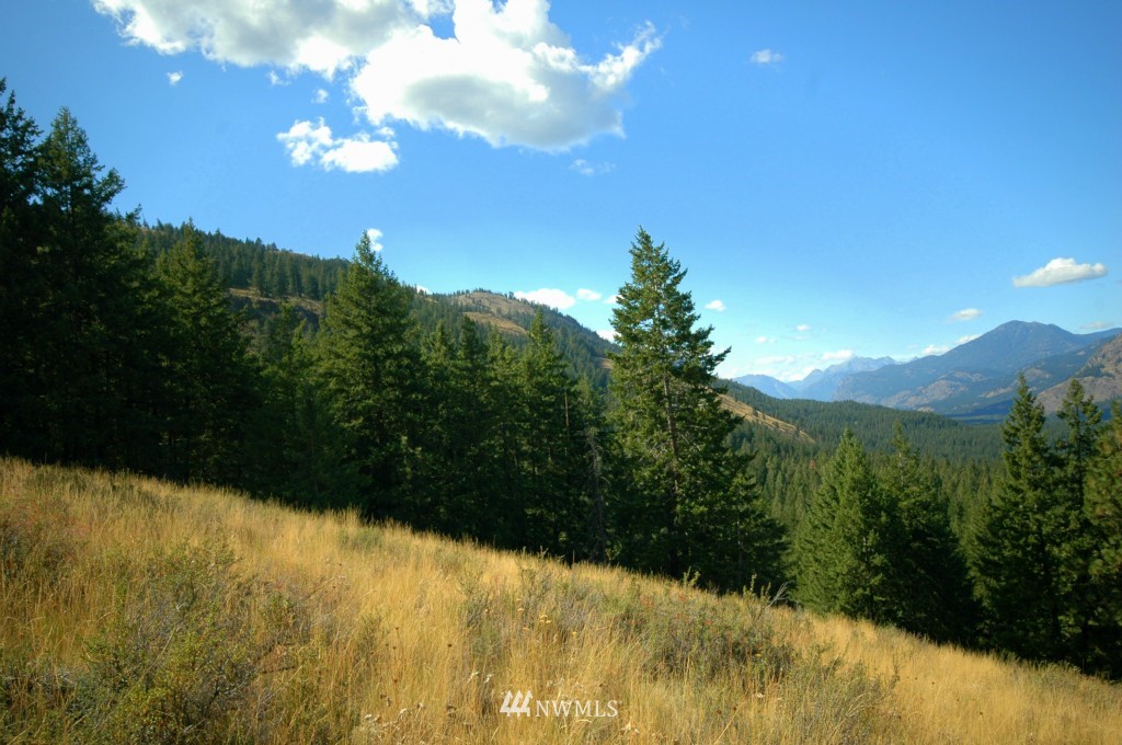 35 Fs 5005 Road Winthrop, WA 98862 - Photo 32 of 38 Gallery Image 32