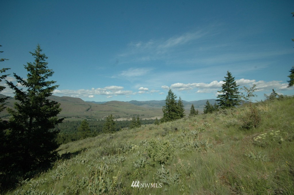 35 Fs 5005 Road Winthrop, WA 98862 - Photo 33 of 38 Gallery Image 33