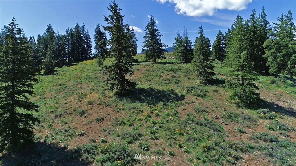 35 Fs 5005 Road Winthrop, WA 98862 - Photo 35 of 38 Gallery Image 35