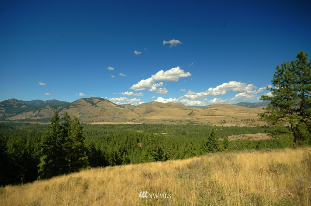 35 Fs 5005 Road Winthrop, WA 98862 - Photo 36 of 38 Gallery Image 36