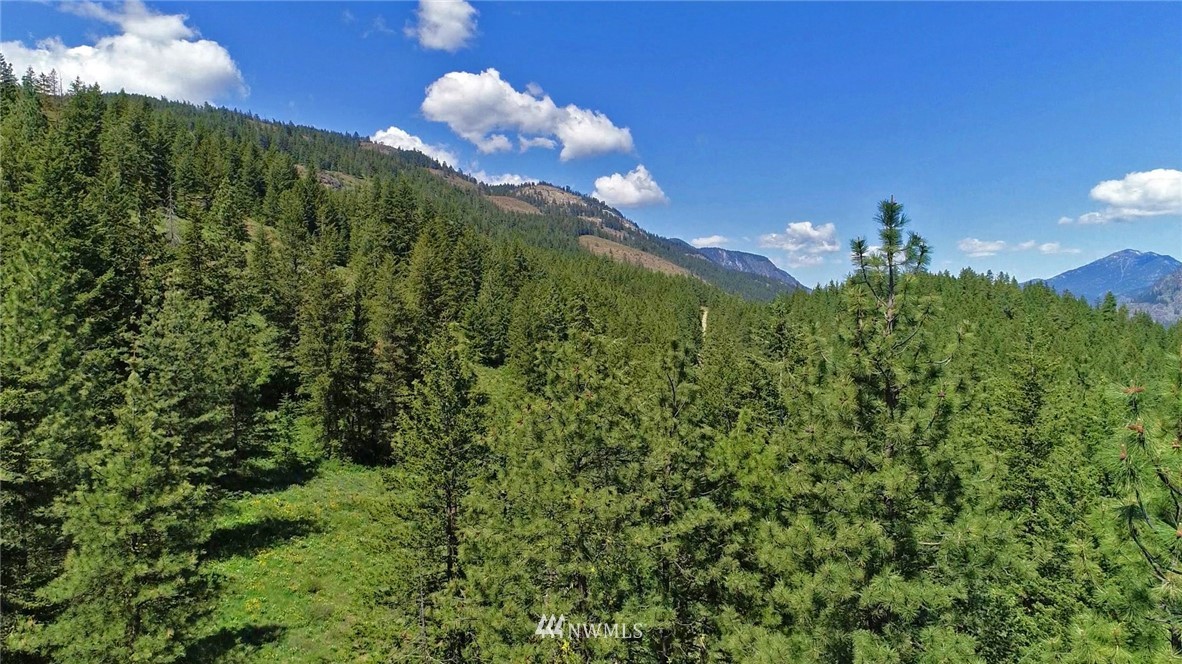 35 Fs 5005 Road Winthrop, WA 98862 - Photo 37 of 38 Gallery Image 37