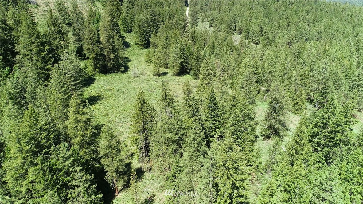 35 Fs 5005 Road Winthrop, WA 98862 - Photo 38 of 38 Gallery Image 38