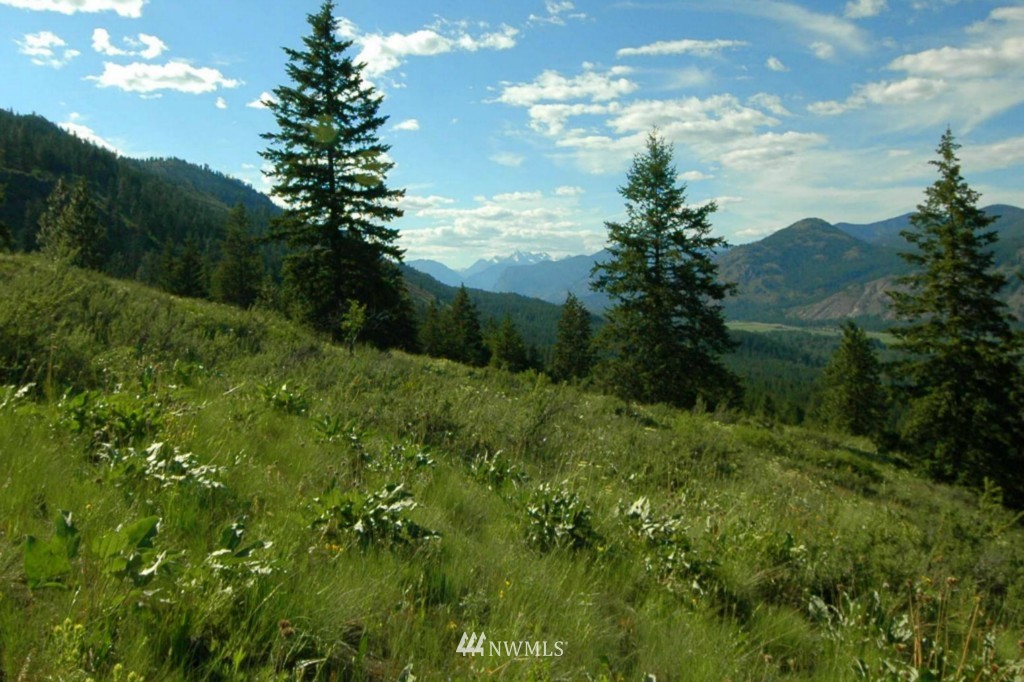 35 Fs 5005 Road Winthrop, WA 98862 - Photo 5 of 38 Gallery Image 5