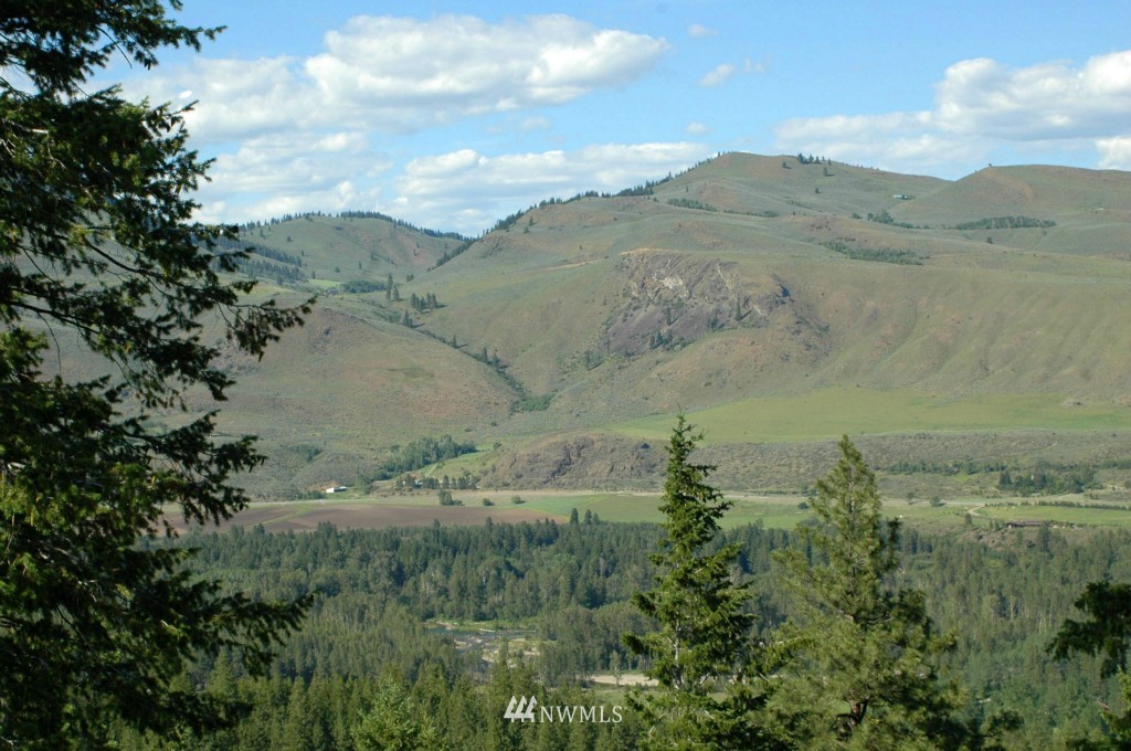 35 Fs 5005 Road Winthrop, WA 98862 - Photo 6 of 38 Gallery Image 6