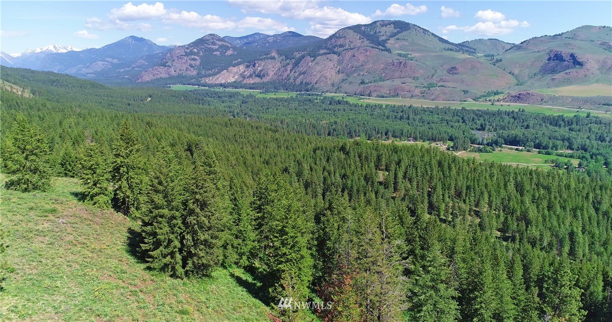 35 Fs 5005 Road Winthrop, WA 98862 - Photo 7 of 38 Gallery Image 7
