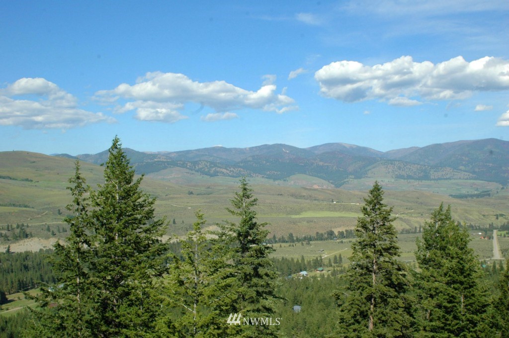 35 Fs 5005 Road Winthrop, WA 98862 - Photo 8 of 38 Gallery Image 8