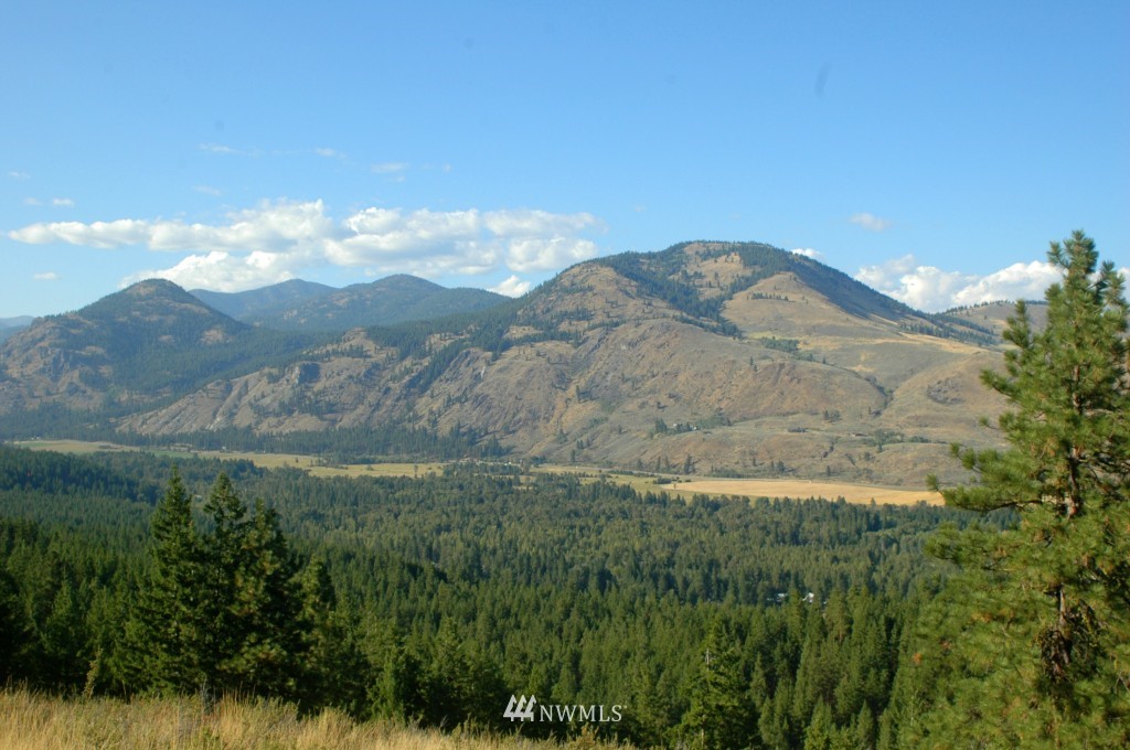 35 Fs 5005 Road Winthrop, WA 98862 - Photo 9 of 38 Gallery Image 9