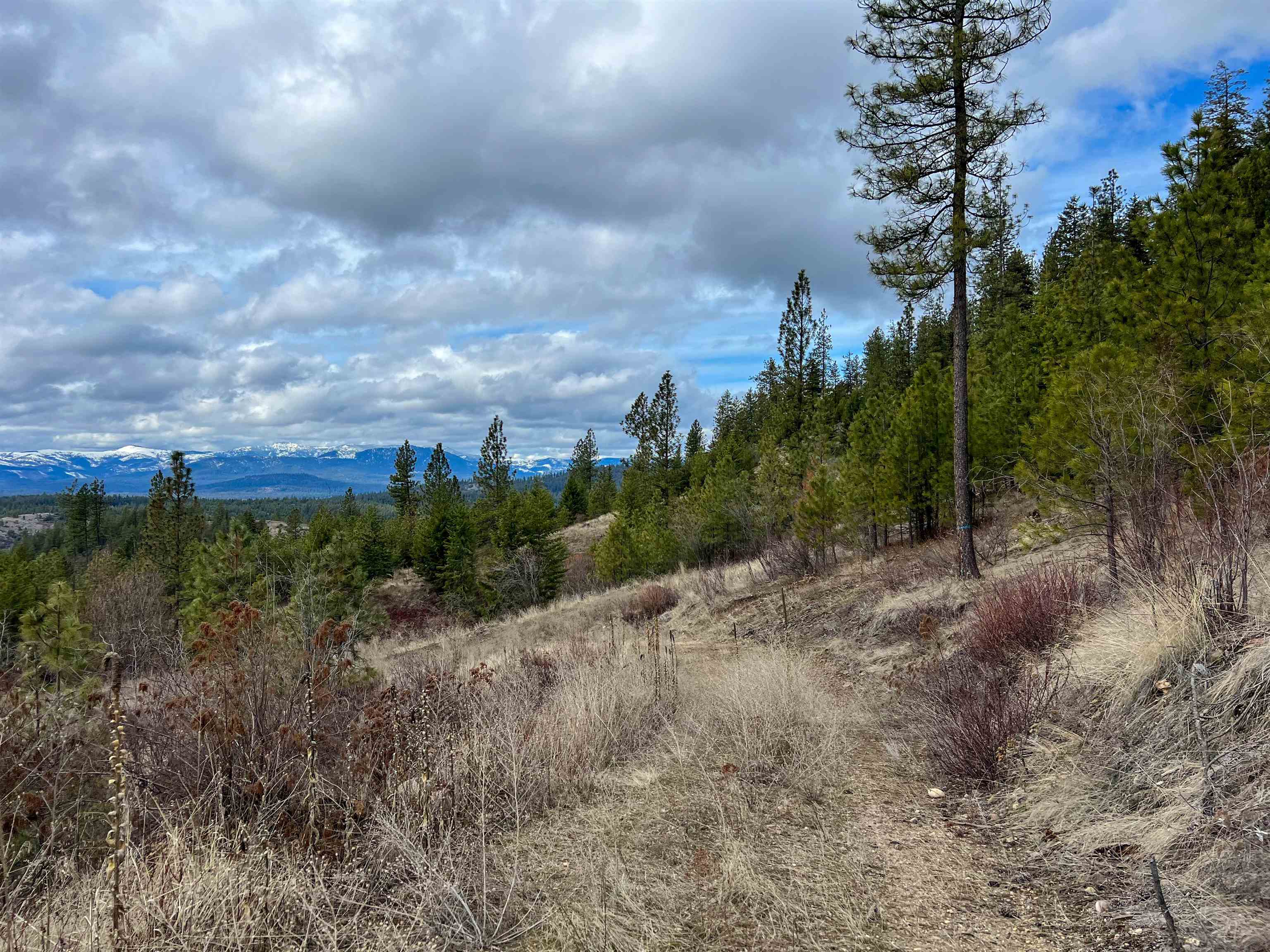 352 X Green Road Valley, WA 99181 - Photo 22 of 32