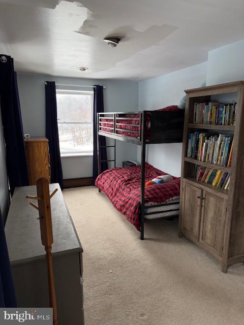 2115 Potts Hill Road Etters, PA 17319 - Photo 25 of 41 Cozy bedroom with bunk beds and bookshelves.