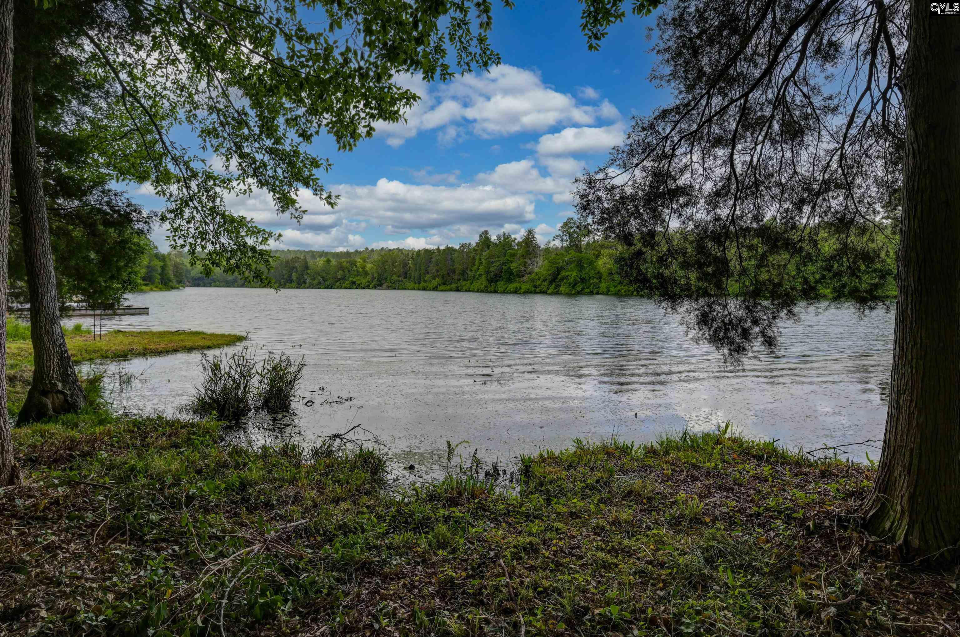 116 Living Waters Boulevard Lexington, SC 29073 - Photo 4 of 64