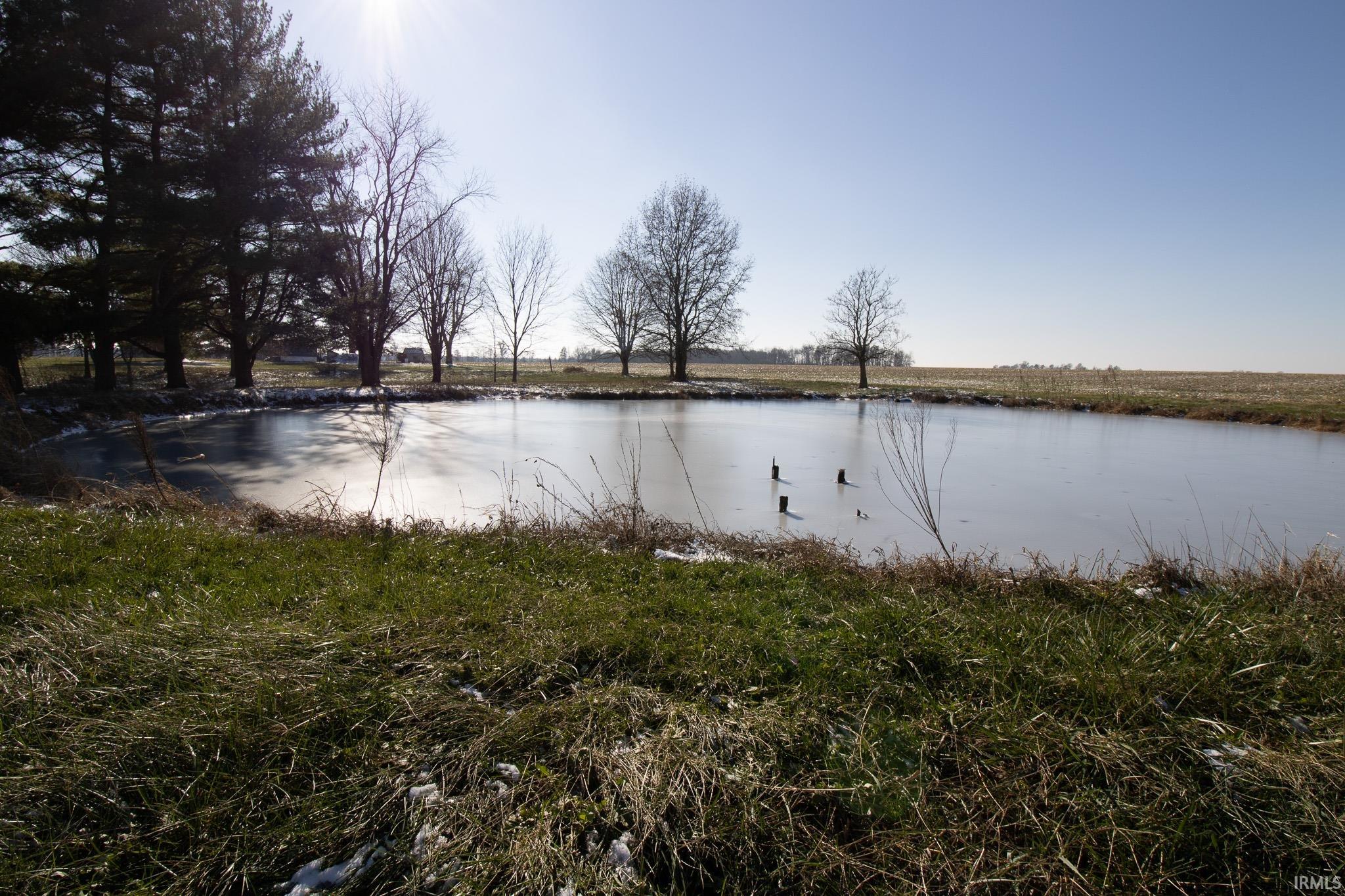 18577 Chauncey Road Sumner, IL 62466 - Photo 8 of 17
