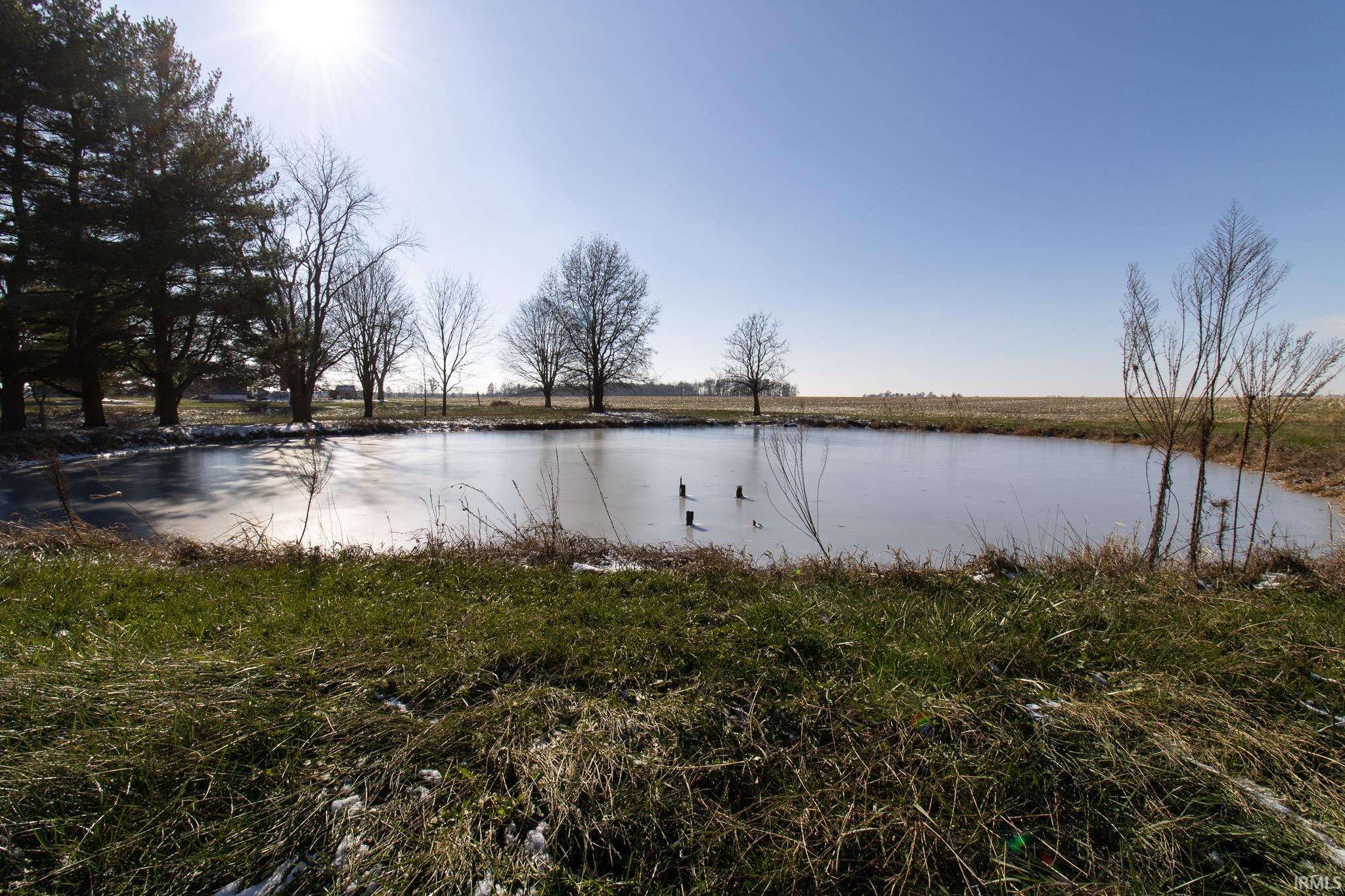 18577 Chauncey Road Sumner, IL 62466 - Photo 9 of 17