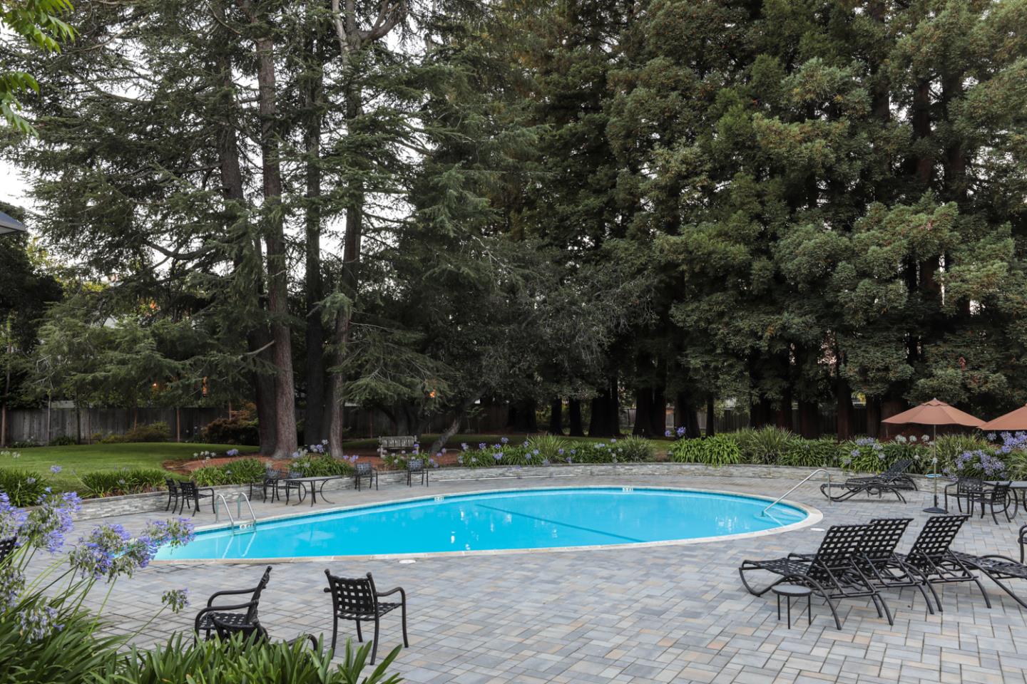 161 Stone Pine Lane Menlo Park, CA 94025 - Photo 26 of 26 a view of a swimming pool with lawn chairs and a fire pit