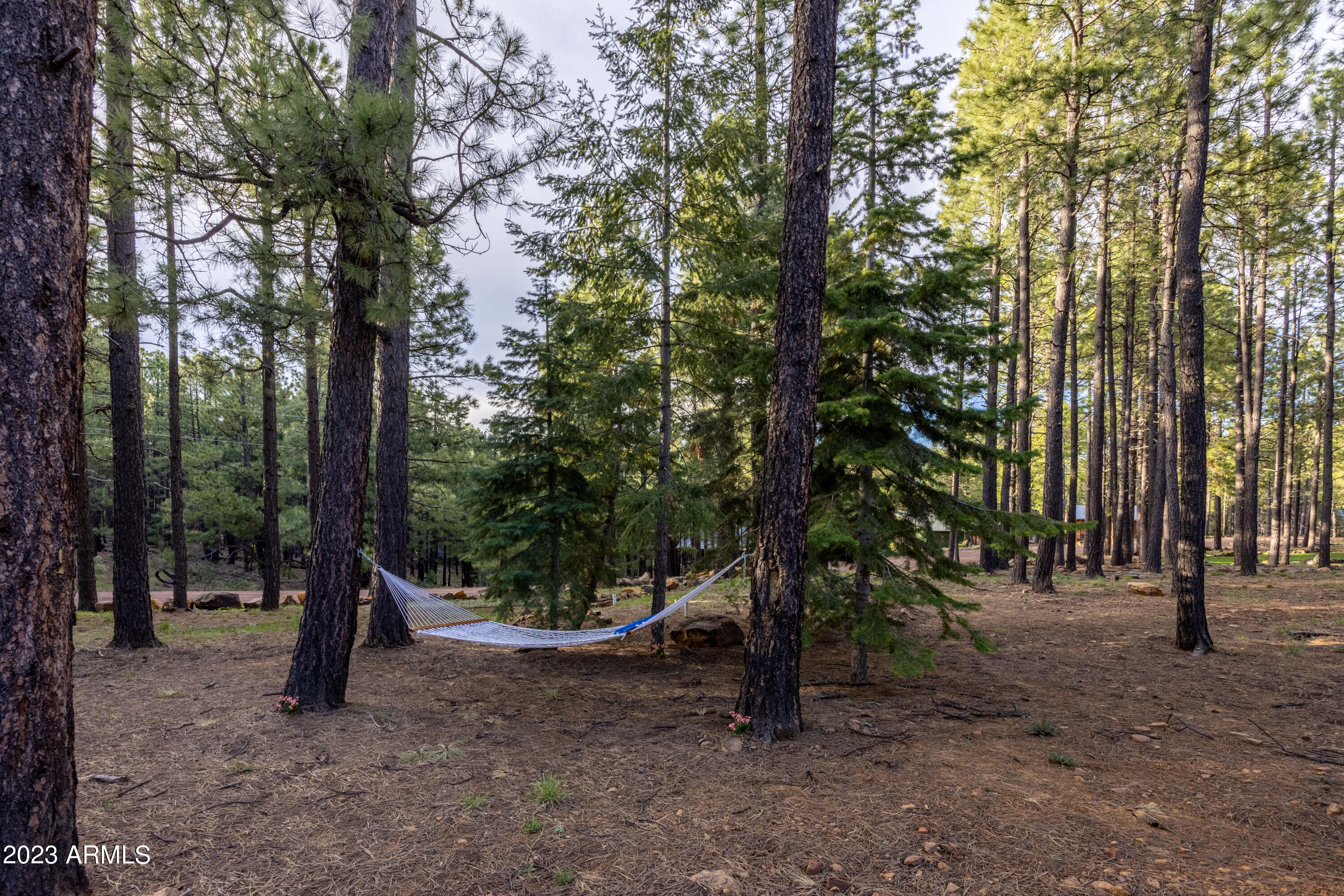 2772 Larson Loop Forest Lakes, AZ 85931 - Photo 53 of 65 a view of outdoor space with trees