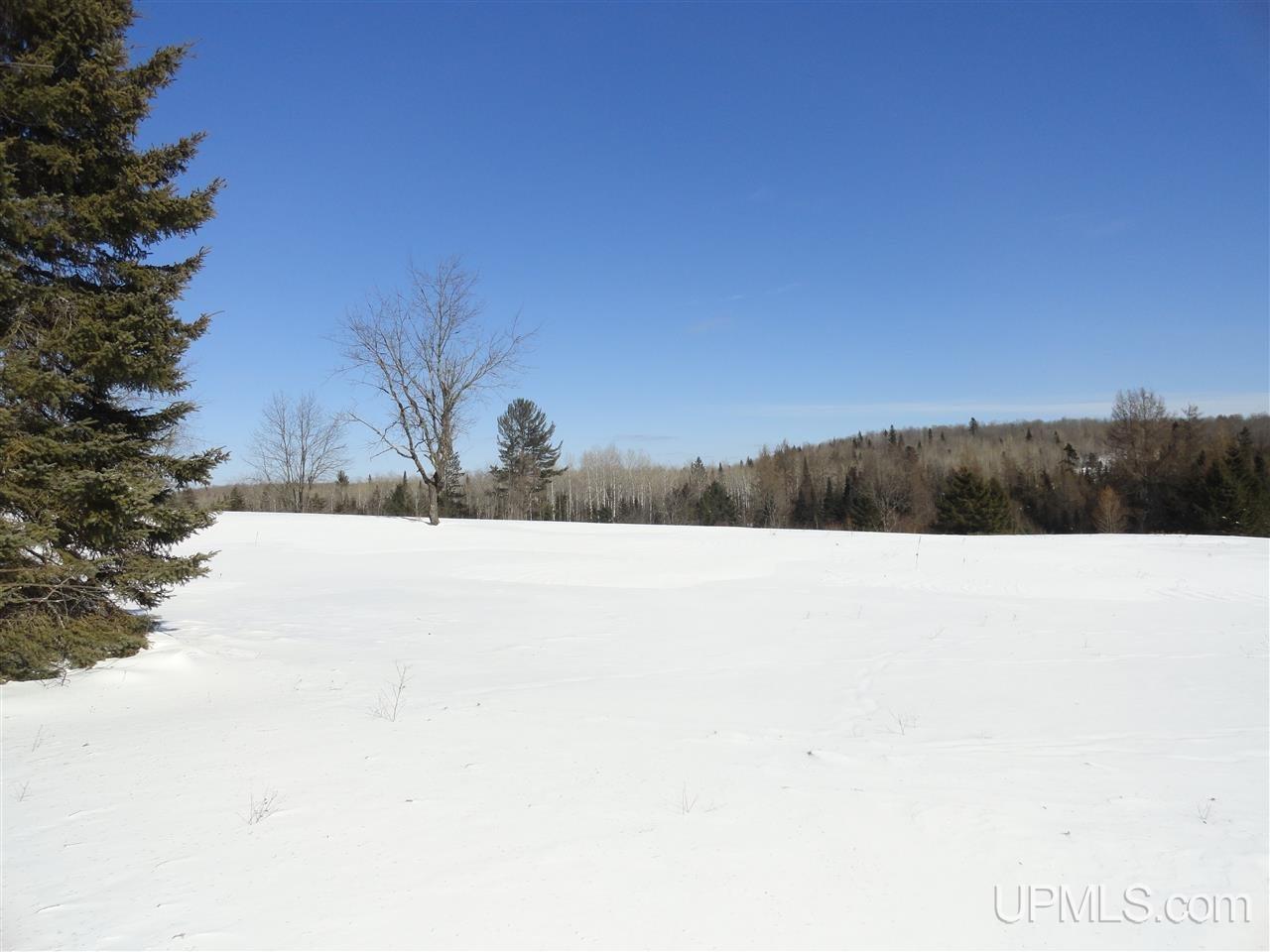 180-acres Lind Road Crystal Falls, MI 49920 - Photo 6 of 33 Gallery Image 6