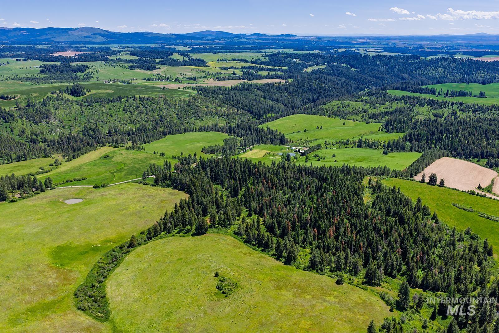Tbd Tbd Johnson Road, Unit 5 Deary, ID 83823 - Photo 14 of 18