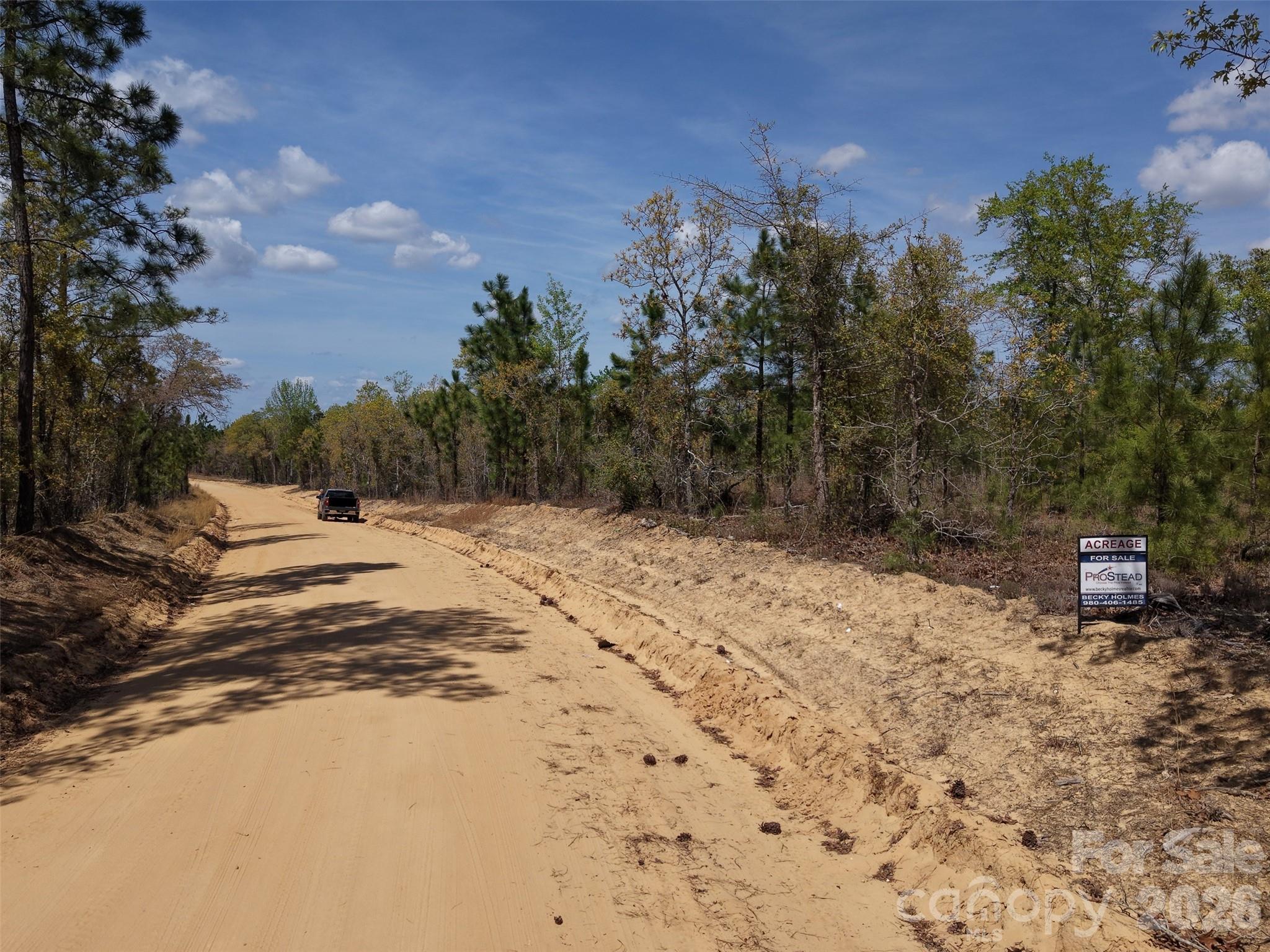 0 McQueen Road Patrick, SC 29584 - Photo 10 of 25