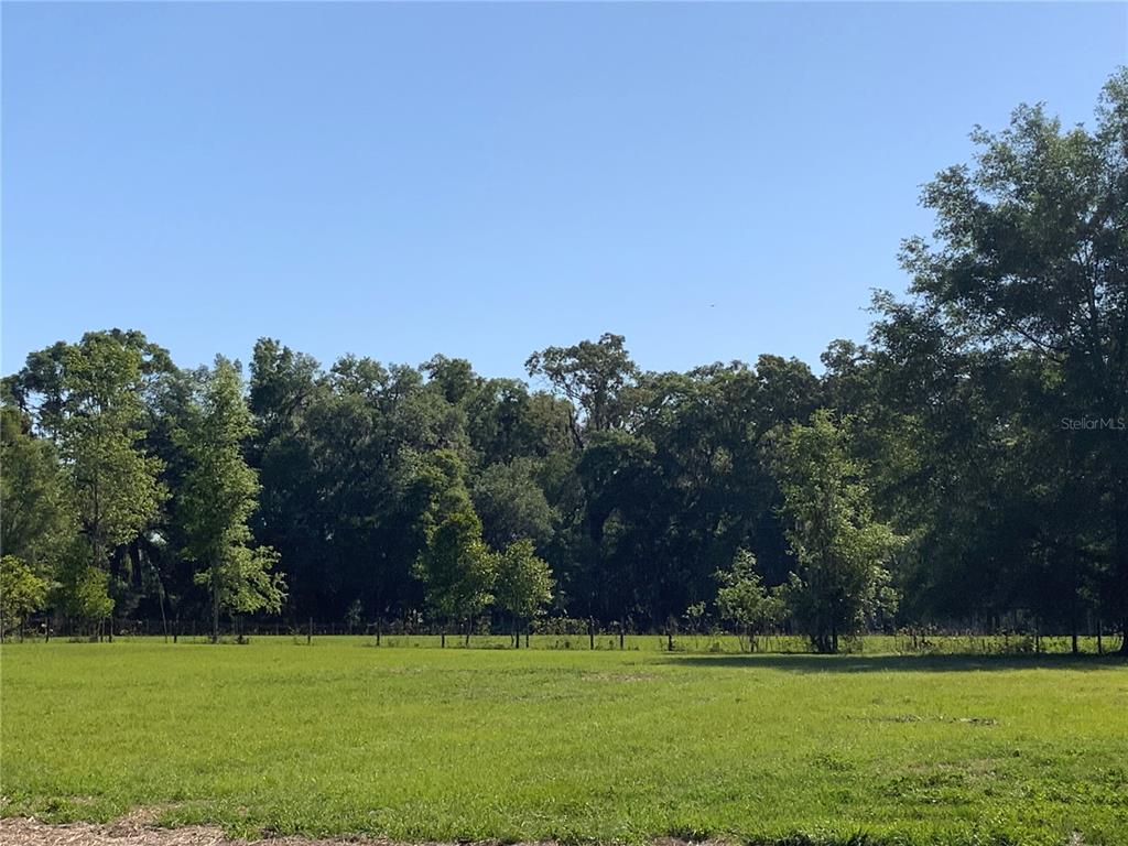 10919 Northwest 202nd Street Alachua, FL 32615 - Photo 4 of 8